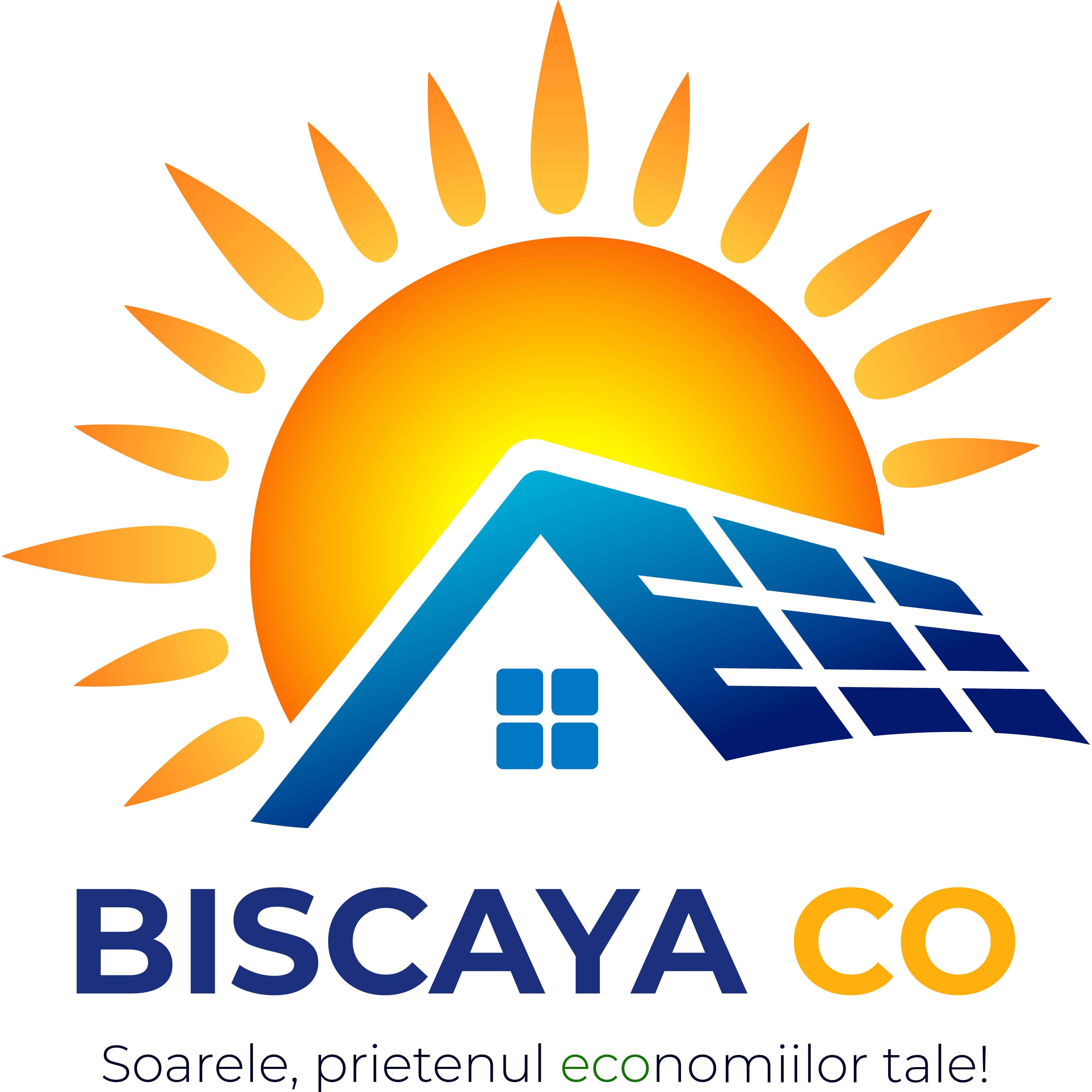 BISCAYA CO